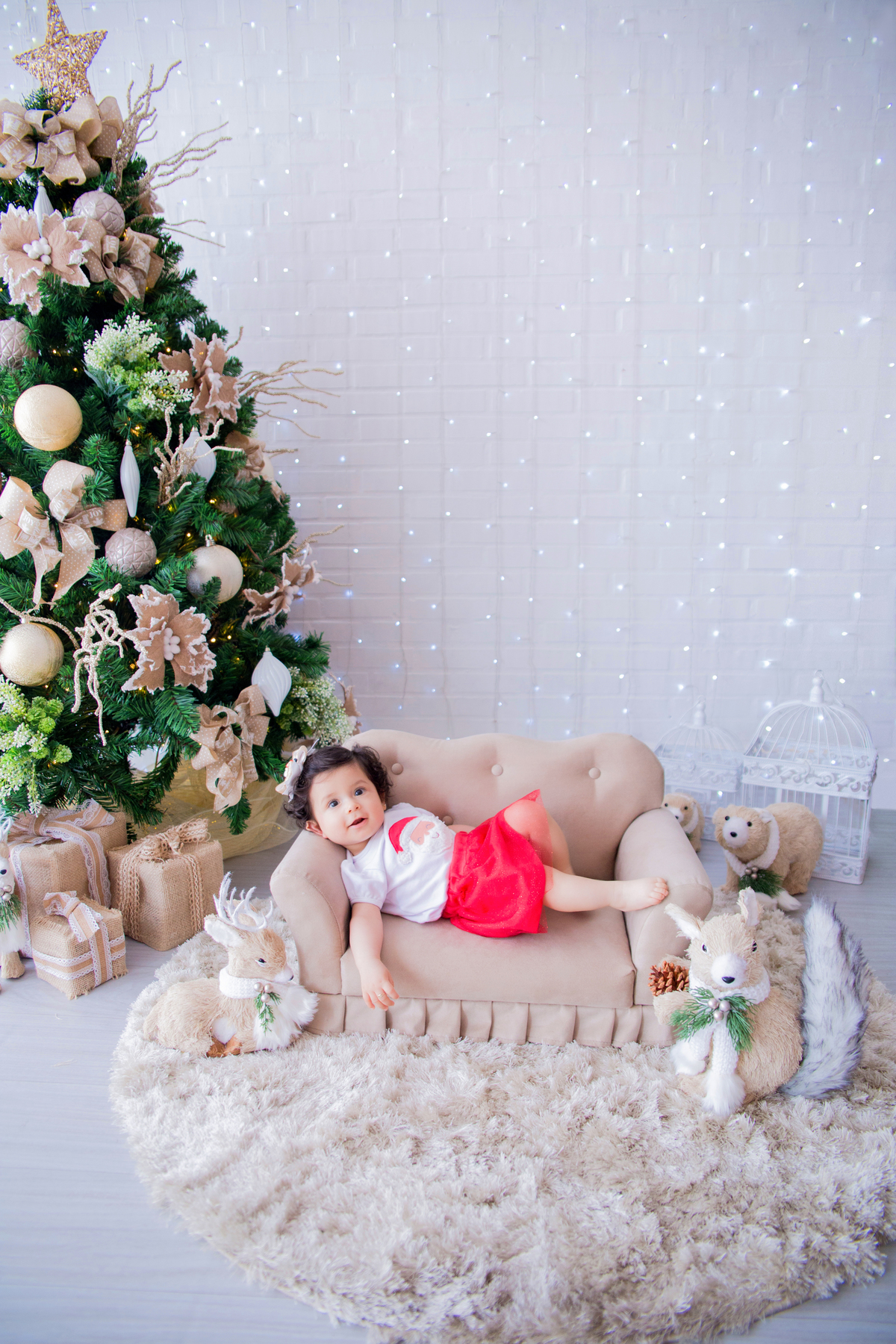 acompanhamento mensal de bebe caxias do sul figurino cenario tematico  personagem foto infantil serra gaucha fotografia familia mundo azul rosa ensaio fotografico crianca newborn baby menino menina smash the cake esmague o bolo banheira urso circo
