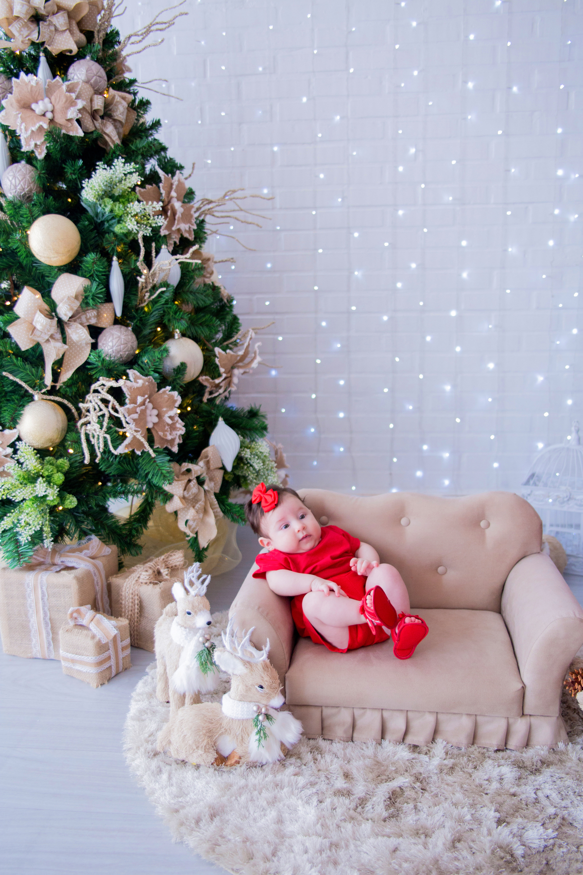acompanhamento mensal de bebe caxias do sul figurino cenario tematico  personagem foto infantil serra gaucha fotografia familia mundo azul rosa ensaio fotografico crianca newborn baby menino menina smash the cake esmague o bolo banheira urso circo