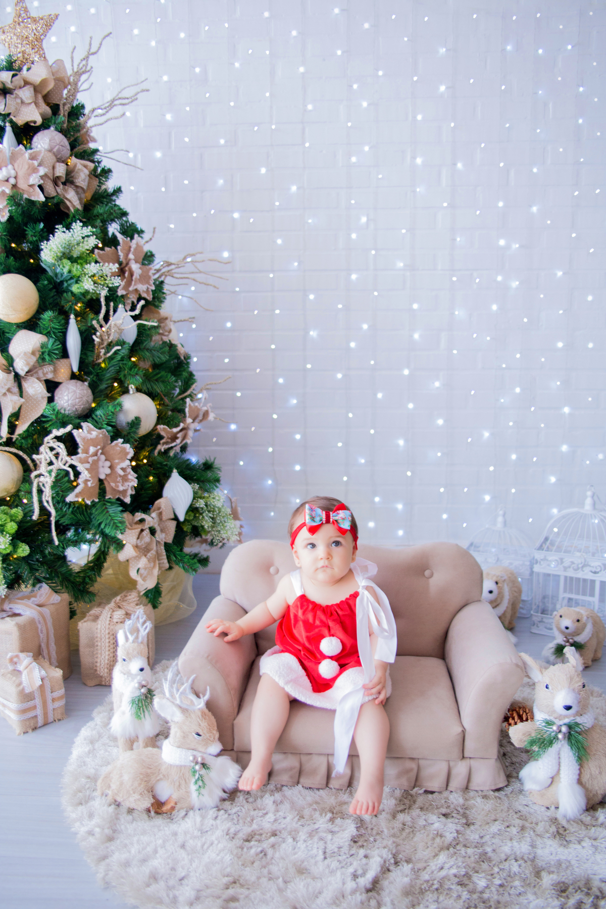 acompanhamento mensal de bebe caxias do sul figurino cenario tematico  personagem foto infantil serra gaucha fotografia familia mundo azul rosa ensaio fotografico crianca newborn baby menino menina smash the cake esmague o bolo banheira urso circo