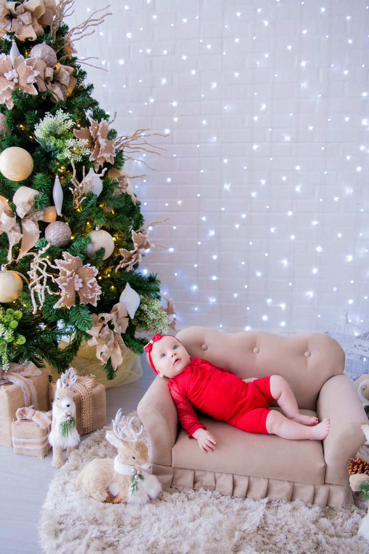 acompanhamento mensal de bebe caxias do sul figurino cenario tematico  personagem foto infantil serra gaucha fotografia familia mundo azul rosa ensaio fotografico crianca newborn baby menino menina smash the cake esmague o bolo banheira urso circo
