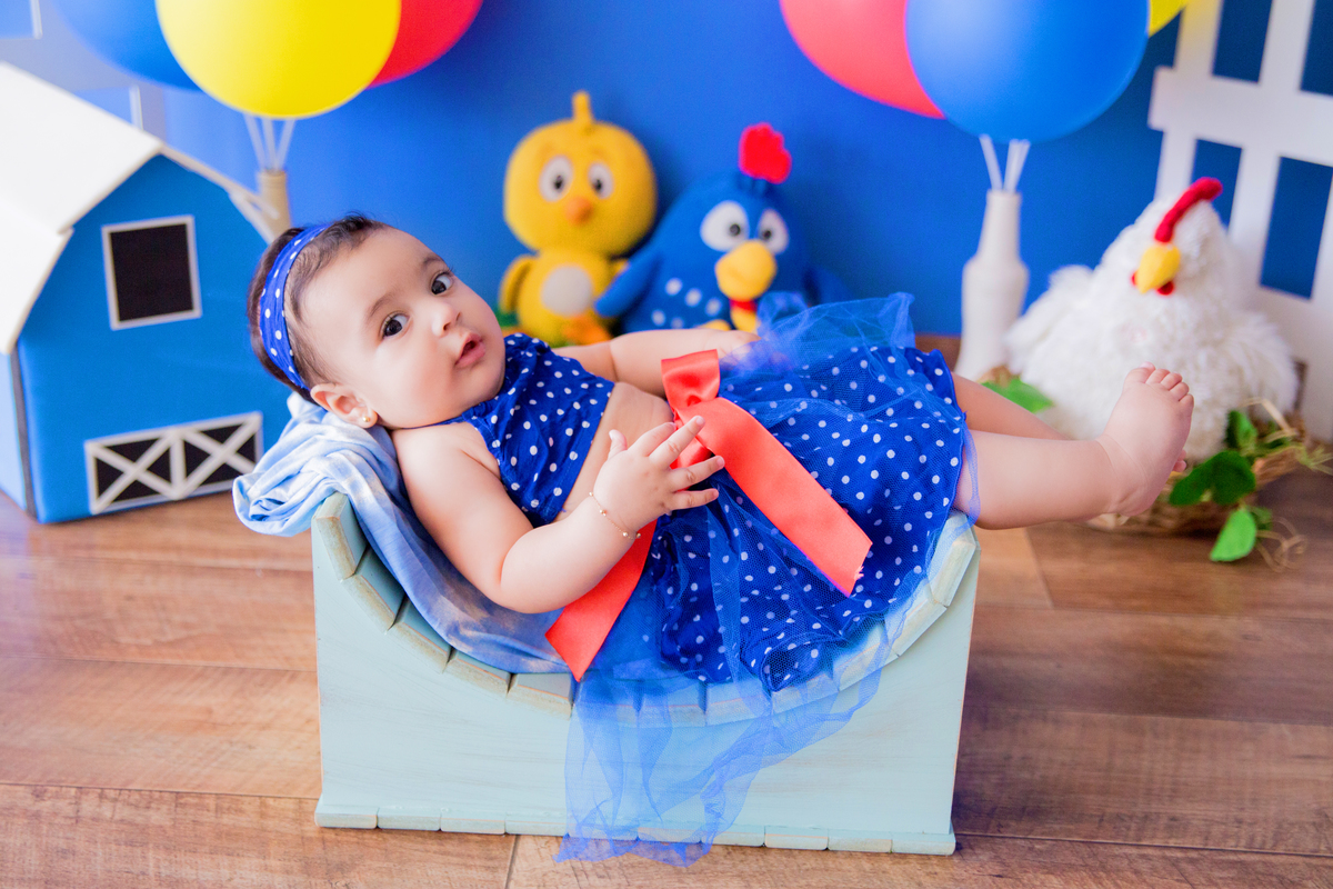 acompanhamento mensal de bebe caxias do sul figurino cenario tematico  personagem foto infantil serra gaucha fotografia familia mundo azul rosa ensaio fotografico crianca newborn baby menino menina smash the cake esmague o bolo banheira urso circo