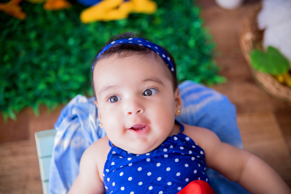 acompanhamento mensal de bebe caxias do sul figurino cenario tematico  personagem foto infantil serra gaucha fotografia familia mundo azul rosa ensaio fotografico crianca newborn baby menino menina smash the cake esmague o bolo banheira urso circo