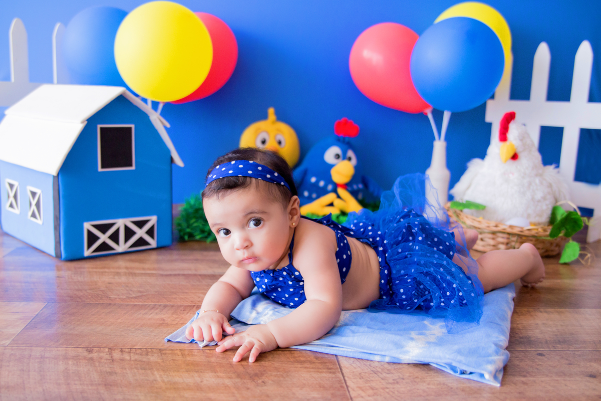 acompanhamento mensal de bebe caxias do sul figurino cenario tematico  personagem foto infantil serra gaucha fotografia familia mundo azul rosa ensaio fotografico crianca newborn baby menino menina smash the cake esmague o bolo banheira urso circo