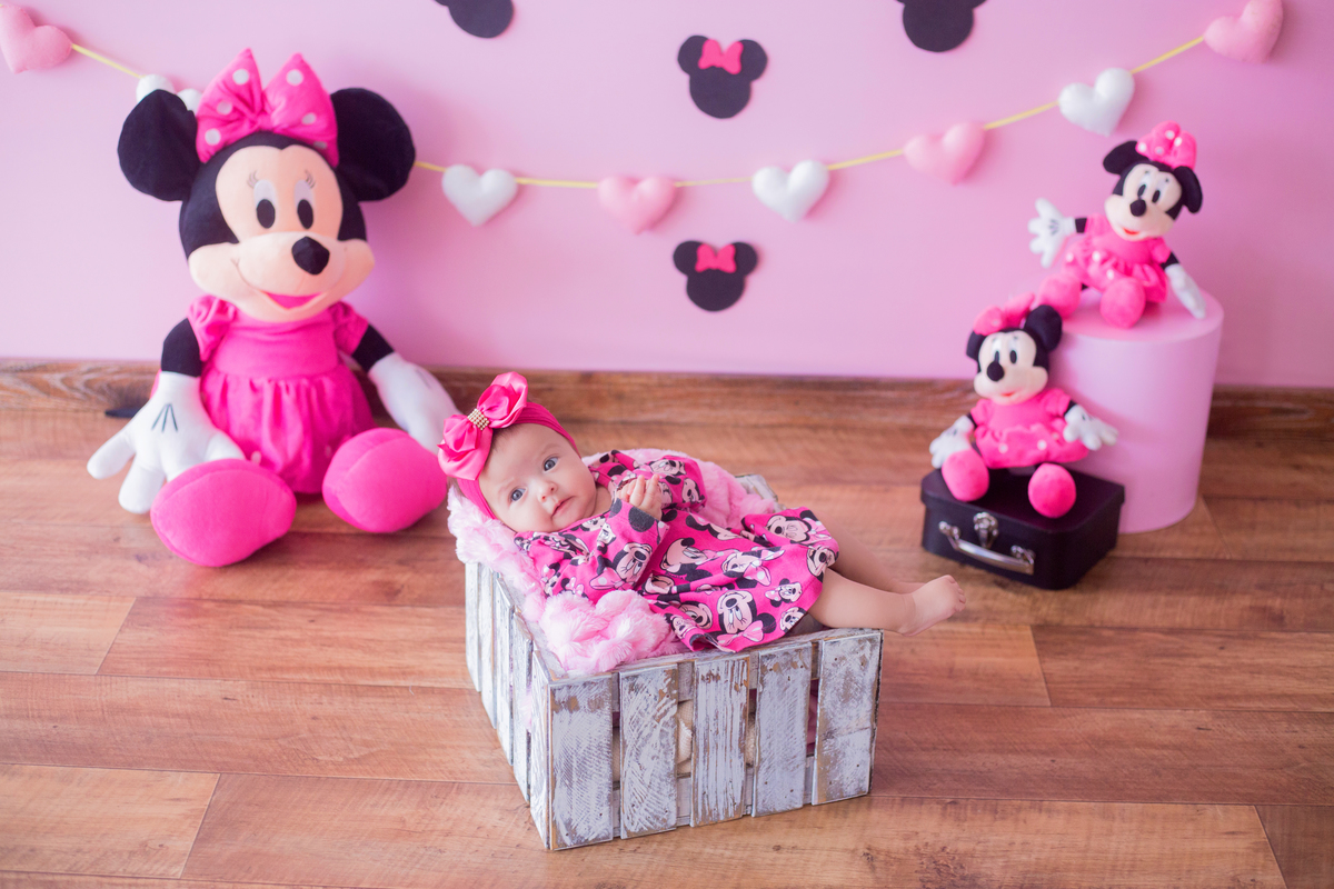 acompanhamento mensal de bebe caxias do sul figurino cenario tematico  personagem foto infantil serra gaucha fotografia familia mundo azul rosa ensaio fotografico crianca newborn baby menino menina smash the cake esmague o bolo banheira urso circo