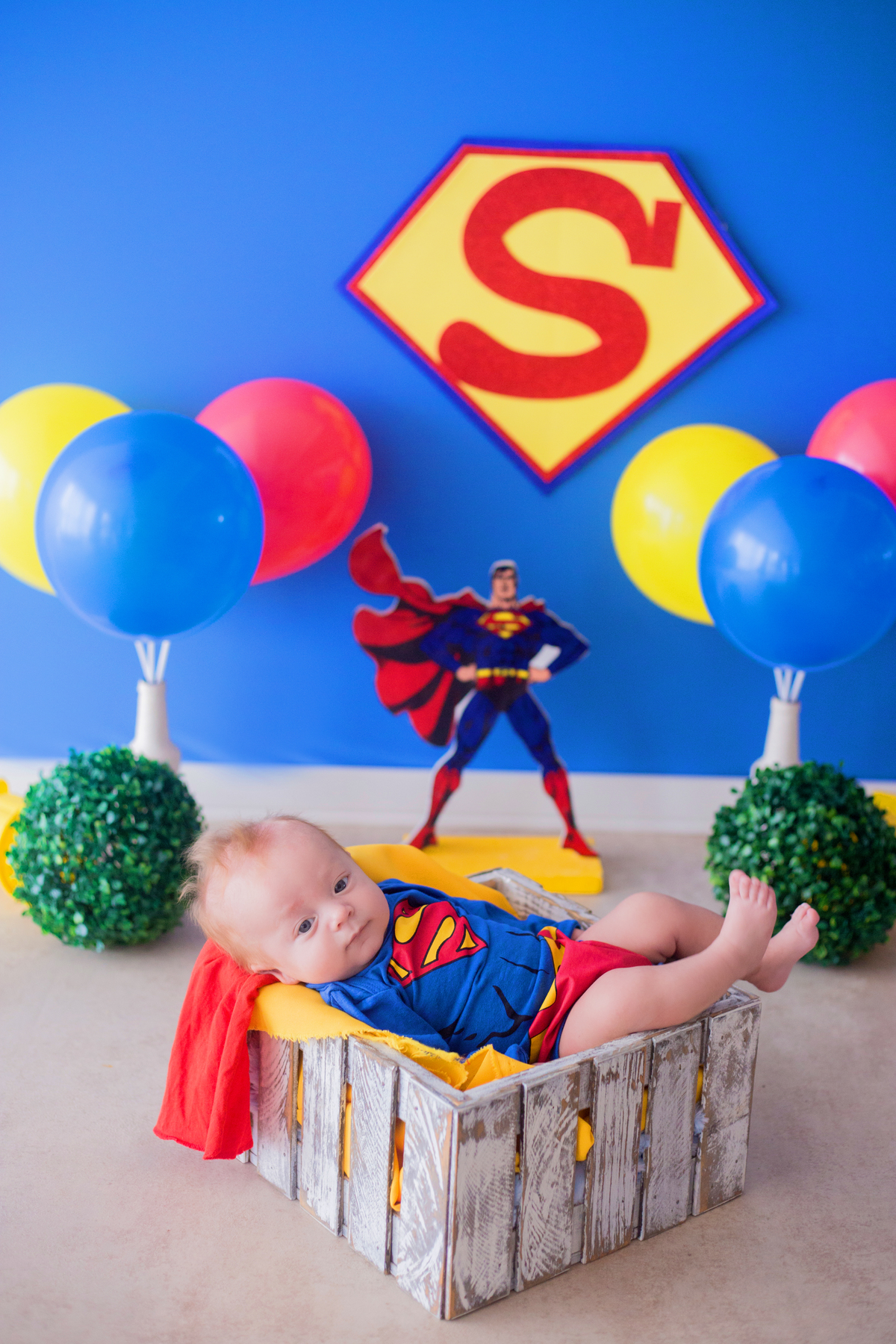 acompanhamento mensal de bebe caxias do sul figurino cenario tematico  personagem foto infantil serra gaucha fotografia familia mundo azul rosa ensaio fotografico crianca newborn baby menino menina smash the cake esmague o bolo banheira urso circo