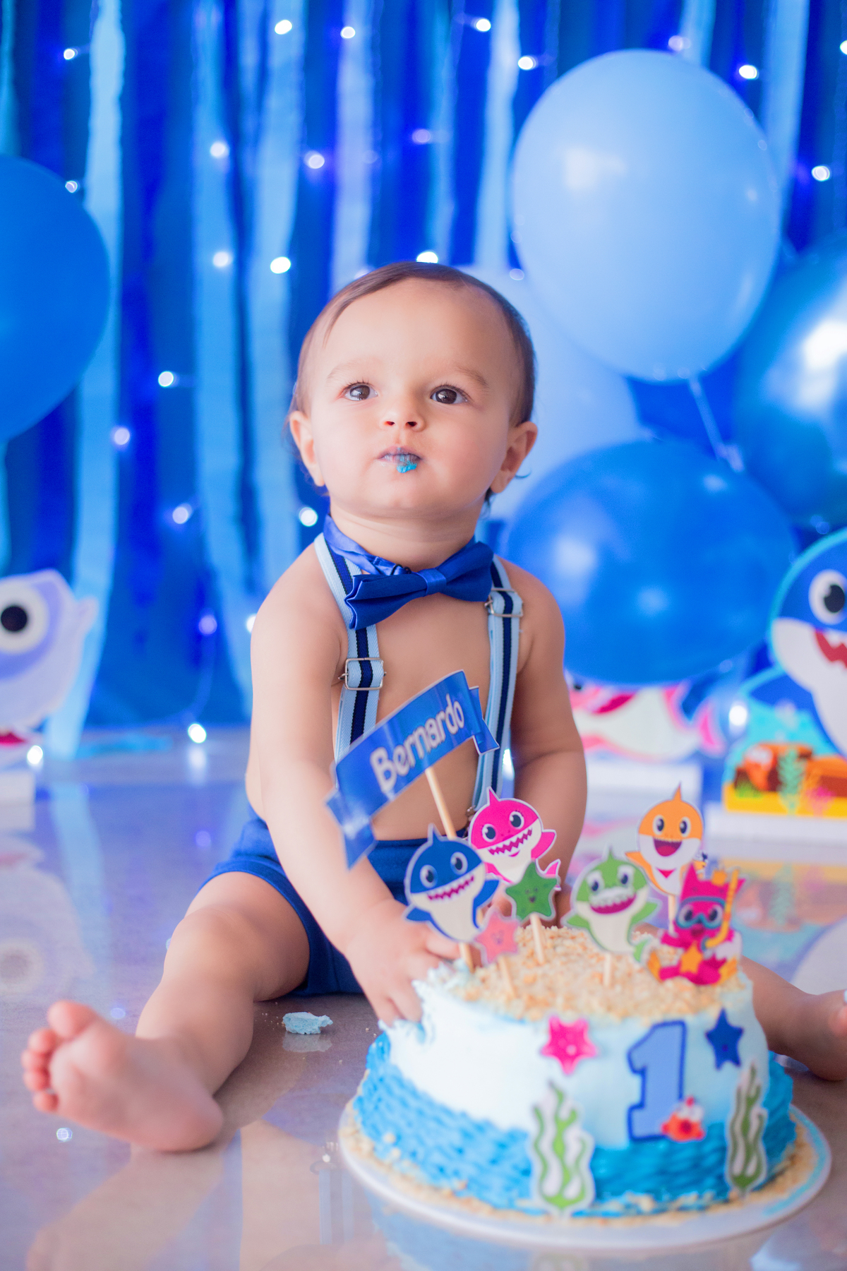 acompanhamento mensal de bebe caxias do sul figurino cenario tematico  personagem foto infantil serra gaucha fotografia familia mundo azul rosa ensaio fotografico crianca newborn baby menino menina smash the cake esmague o bolo banheira urso circo