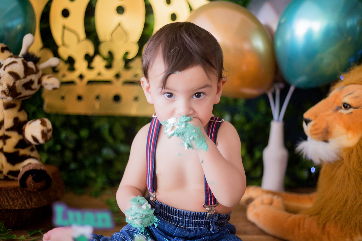 acompanhamento mensal de bebe caxias do sul figurino cenario tematico  personagem foto infantil serra gaucha fotografia familia mundo azul rosa ensaio fotografico crianca newborn baby menino menina smash the cake esmague o bolo banheira urso circo