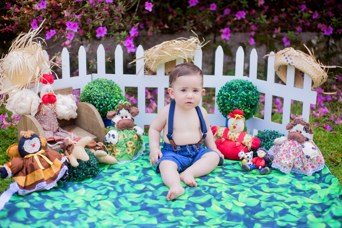 acompanhamento mensal de bebe caxias do sul figurino cenario tematico  personagem foto infantil serra gaucha fotografia familia mundo azul rosa ensaio fotografico crianca newborn baby menino menina smash the cake esmague o bolo banheira urso circo