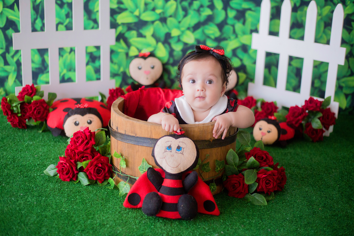 acompanhamento mensal de bebe caxias do sul figurino cenario tematico  personagem foto infantil serra gaucha fotografia familia mundo azul rosa ensaio fotografico crianca newborn baby menino menina smash the cake esmague o bolo banheira urso circo