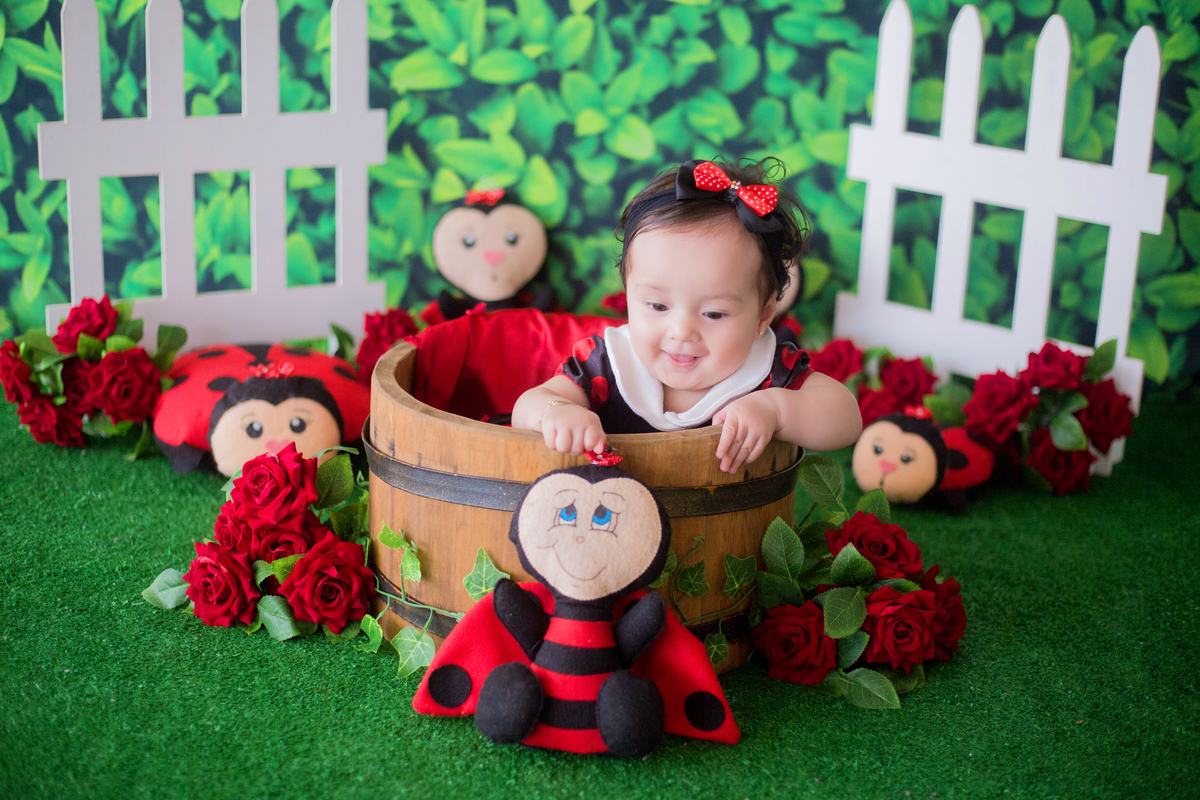 acompanhamento mensal de bebe caxias do sul figurino cenario tematico  personagem foto infantil serra gaucha fotografia familia mundo azul rosa ensaio fotografico crianca newborn baby menino menina smash the cake esmague o bolo banheira urso circo