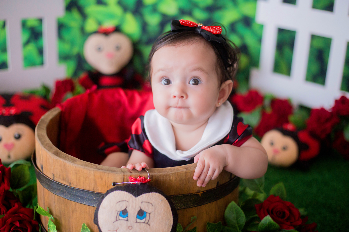 acompanhamento mensal de bebe caxias do sul figurino cenario tematico  personagem foto infantil serra gaucha fotografia familia mundo azul rosa ensaio fotografico crianca newborn baby menino menina smash the cake esmague o bolo banheira urso circo