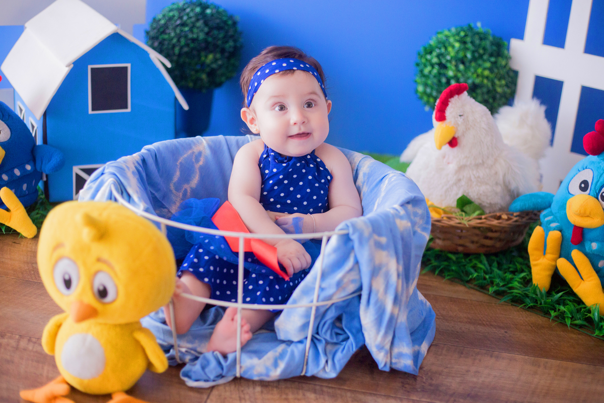acompanhamento mensal de bebe caxias do sul figurino cenario tematico  personagem foto infantil serra gaucha fotografia familia mundo azul rosa ensaio fotografico crianca newborn baby menino menina smash the cake esmague o bolo banheira urso circo