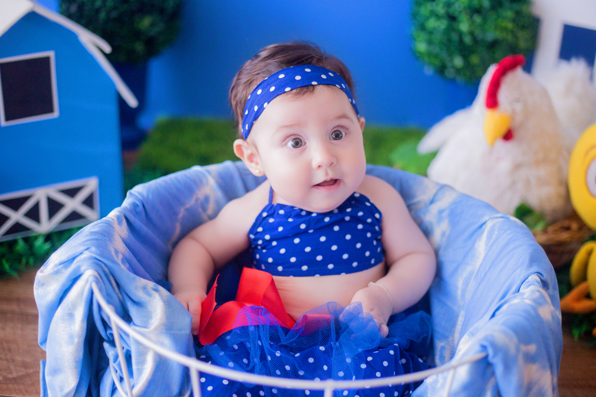 acompanhamento mensal de bebe caxias do sul figurino cenario tematico  personagem foto infantil serra gaucha fotografia familia mundo azul rosa ensaio fotografico crianca newborn baby menino menina smash the cake esmague o bolo banheira urso circo
