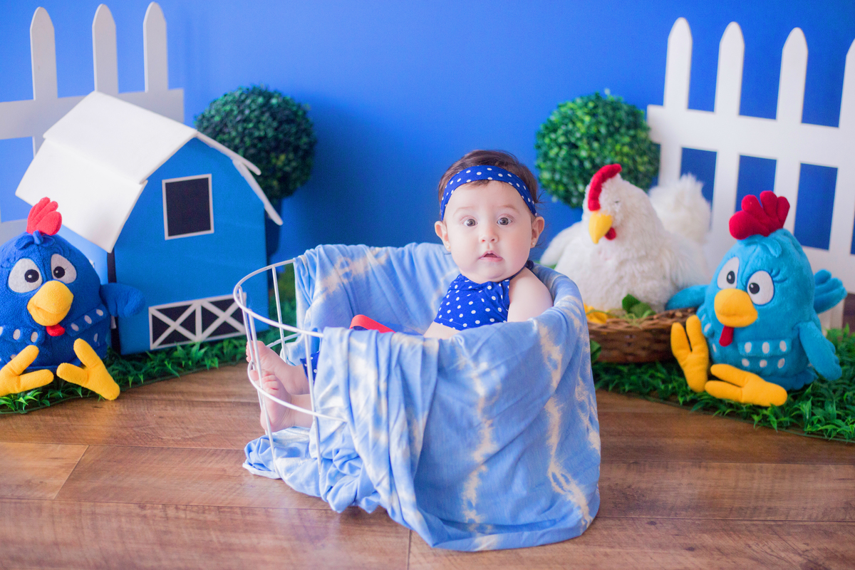 acompanhamento mensal de bebe caxias do sul figurino cenario tematico  personagem foto infantil serra gaucha fotografia familia mundo azul rosa ensaio fotografico crianca newborn baby menino menina smash the cake esmague o bolo banheira urso circo