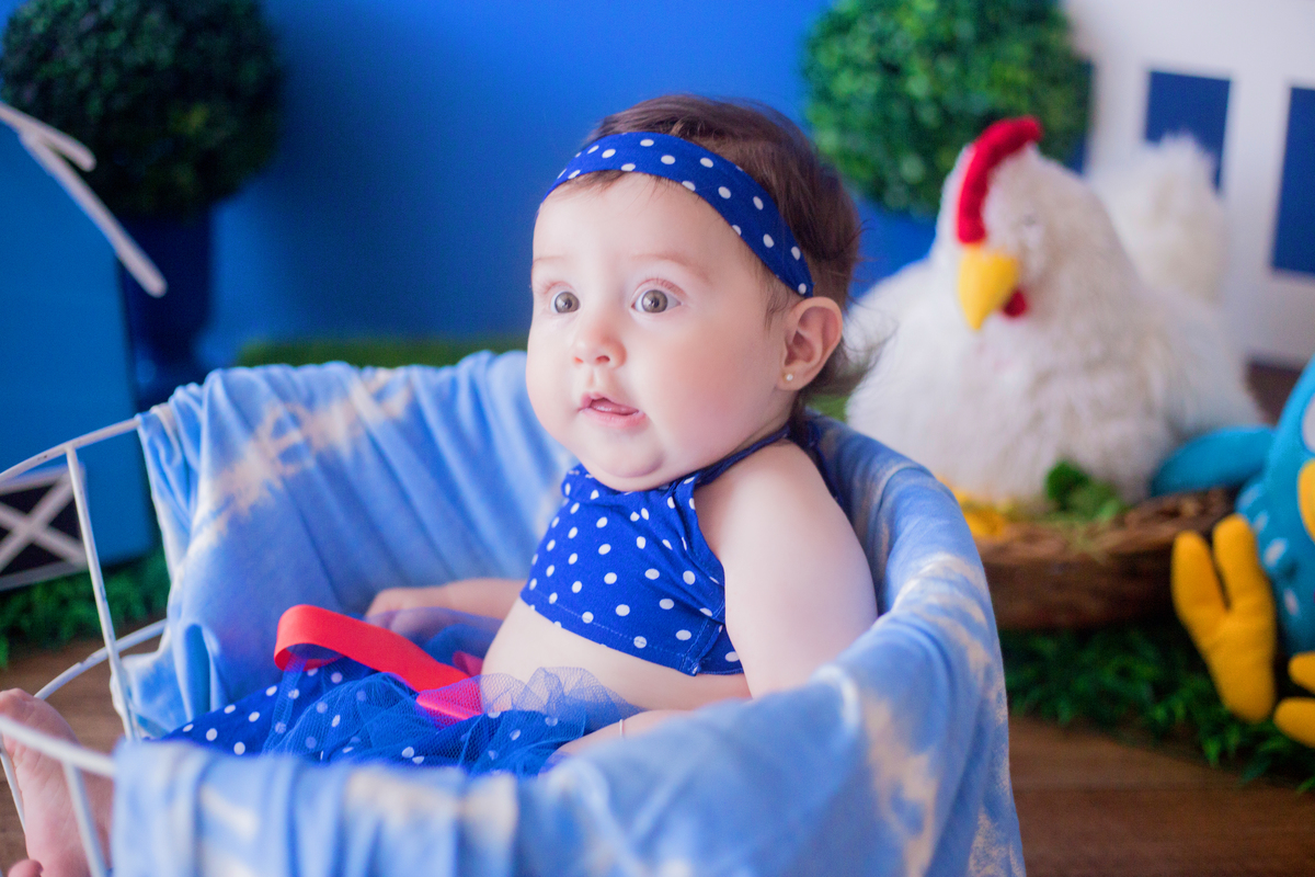 acompanhamento mensal de bebe caxias do sul figurino cenario tematico  personagem foto infantil serra gaucha fotografia familia mundo azul rosa ensaio fotografico crianca newborn baby menino menina smash the cake esmague o bolo banheira urso circo