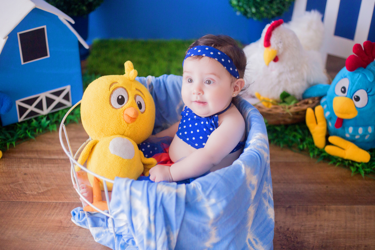 acompanhamento mensal de bebe caxias do sul figurino cenario tematico  personagem foto infantil serra gaucha fotografia familia mundo azul rosa ensaio fotografico crianca newborn baby menino menina smash the cake esmague o bolo banheira urso circo