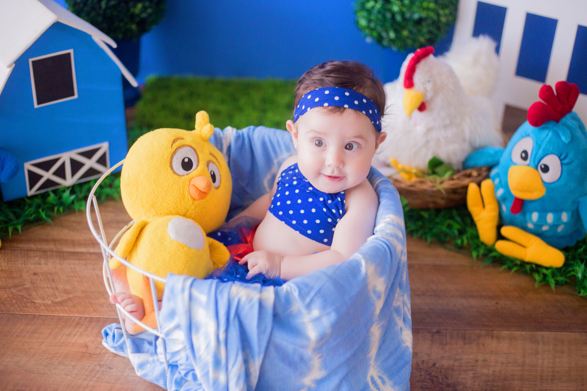 acompanhamento mensal de bebe caxias do sul figurino cenario tematico  personagem foto infantil serra gaucha fotografia familia mundo azul rosa ensaio fotografico crianca newborn baby menino menina smash the cake esmague o bolo banheira urso circo