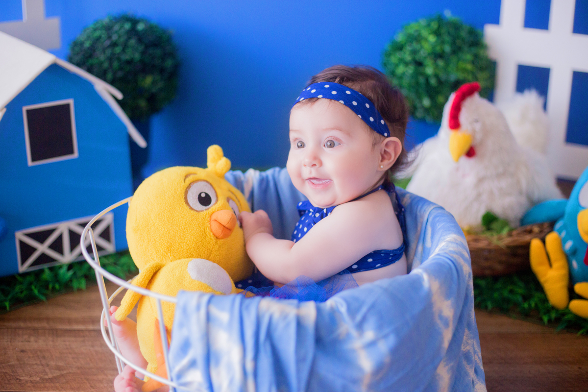 acompanhamento mensal de bebe caxias do sul figurino cenario tematico  personagem foto infantil serra gaucha fotografia familia mundo azul rosa ensaio fotografico crianca newborn baby menino menina smash the cake esmague o bolo banheira urso circo