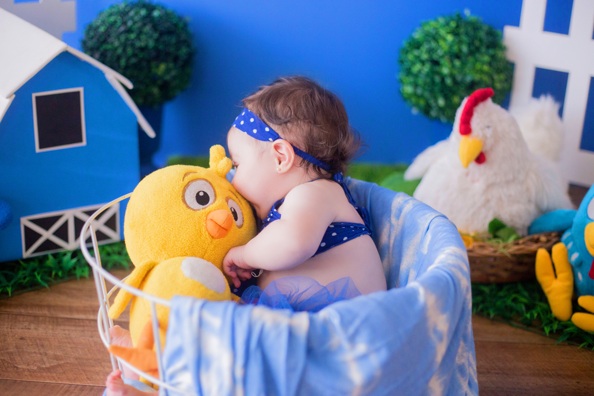 acompanhamento mensal de bebe caxias do sul figurino cenario tematico  personagem foto infantil serra gaucha fotografia familia mundo azul rosa ensaio fotografico crianca newborn baby menino menina smash the cake esmague o bolo banheira urso circo