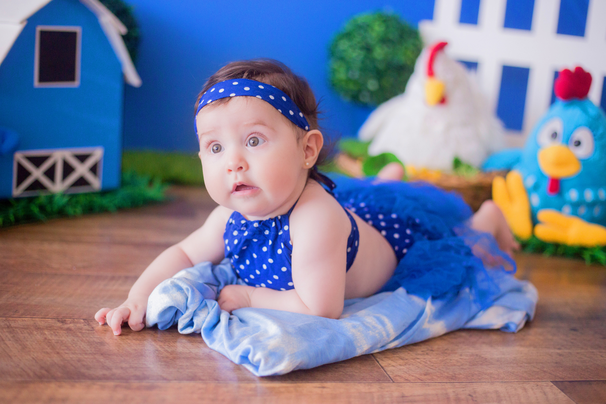 acompanhamento mensal de bebe caxias do sul figurino cenario tematico  personagem foto infantil serra gaucha fotografia familia mundo azul rosa ensaio fotografico crianca newborn baby menino menina smash the cake esmague o bolo banheira urso circo
