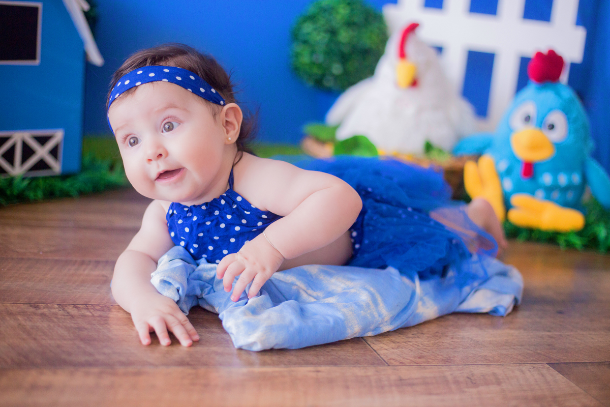 acompanhamento mensal de bebe caxias do sul figurino cenario tematico  personagem foto infantil serra gaucha fotografia familia mundo azul rosa ensaio fotografico crianca newborn baby menino menina smash the cake esmague o bolo banheira urso circo
