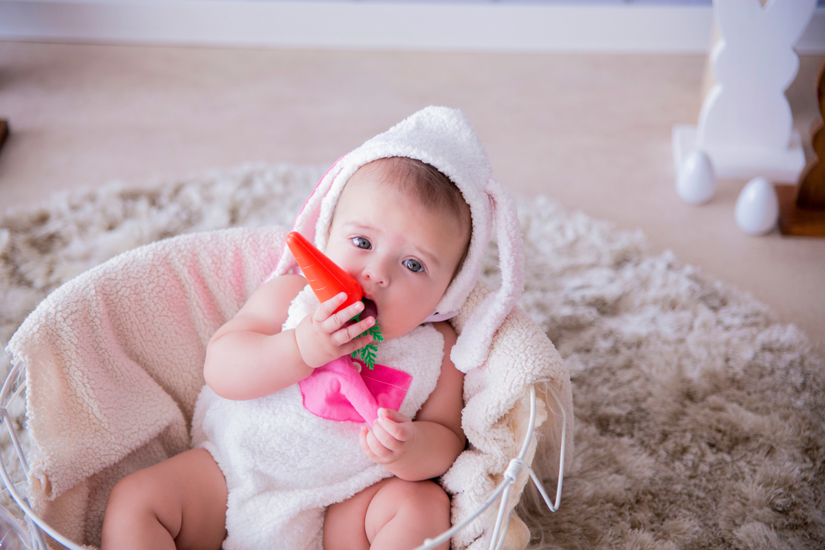 acompanhamento mensal de bebe caxias do sul figurino cenario tematico  personagem foto infantil serra gaucha fotografia familia mundo azul rosa ensaio fotografico crianca newborn baby menino menina smash the cake esmague o bolo banheira urso circo