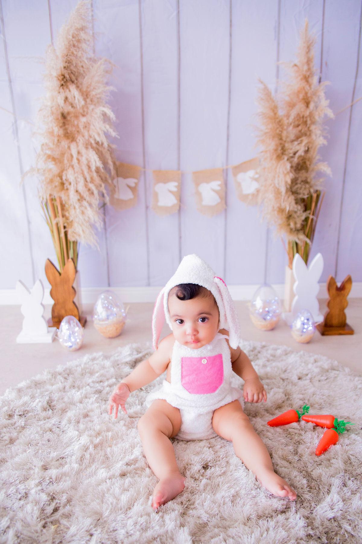 acompanhamento mensal de bebe caxias do sul figurino cenario tematico  personagem foto infantil serra gaucha fotografia familia mundo azul rosa ensaio fotografico crianca newborn baby menino menina smash the cake esmague o bolo banheira urso circo