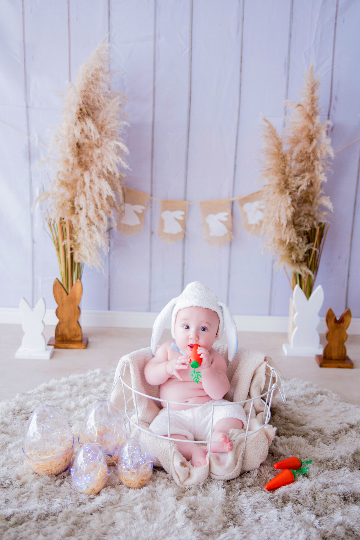 acompanhamento mensal de bebe caxias do sul figurino cenario tematico  personagem foto infantil serra gaucha fotografia familia mundo azul rosa ensaio fotografico crianca newborn baby menino menina smash the cake esmague o bolo banheira urso circo