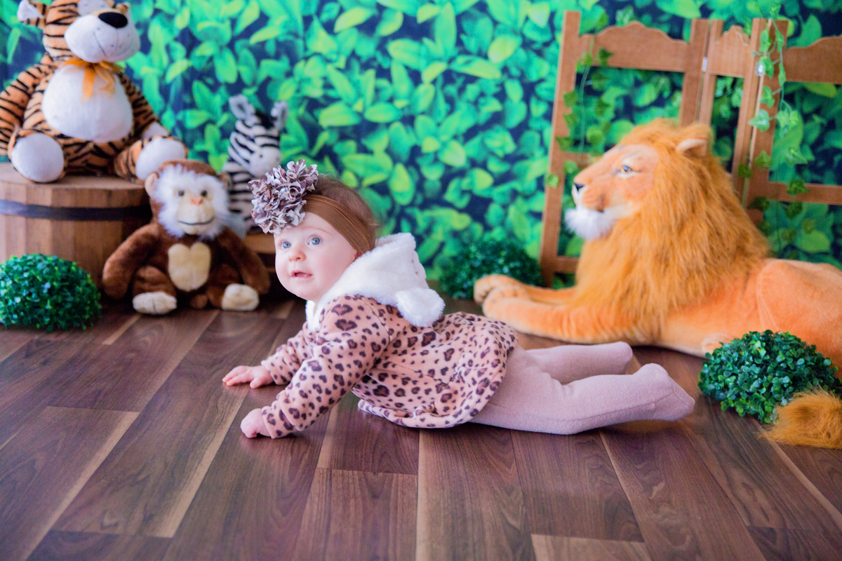 acompanhamento mensal de bebe caxias do sul figurino cenario tematico  personagem foto infantil serra gaucha fotografia familia mundo azul rosa ensaio fotografico crianca newborn baby menino menina smash the cake esmague o bolo banheira urso circo