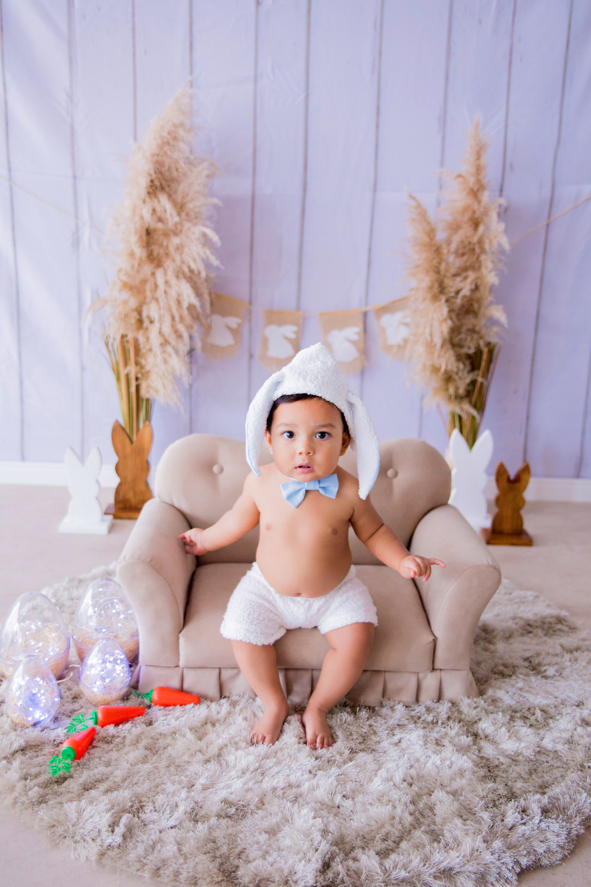 acompanhamento mensal de bebe caxias do sul figurino cenario tematico  personagem foto infantil serra gaucha fotografia familia mundo azul rosa ensaio fotografico crianca newborn baby menino menina smash the cake esmague o bolo banheira urso circo