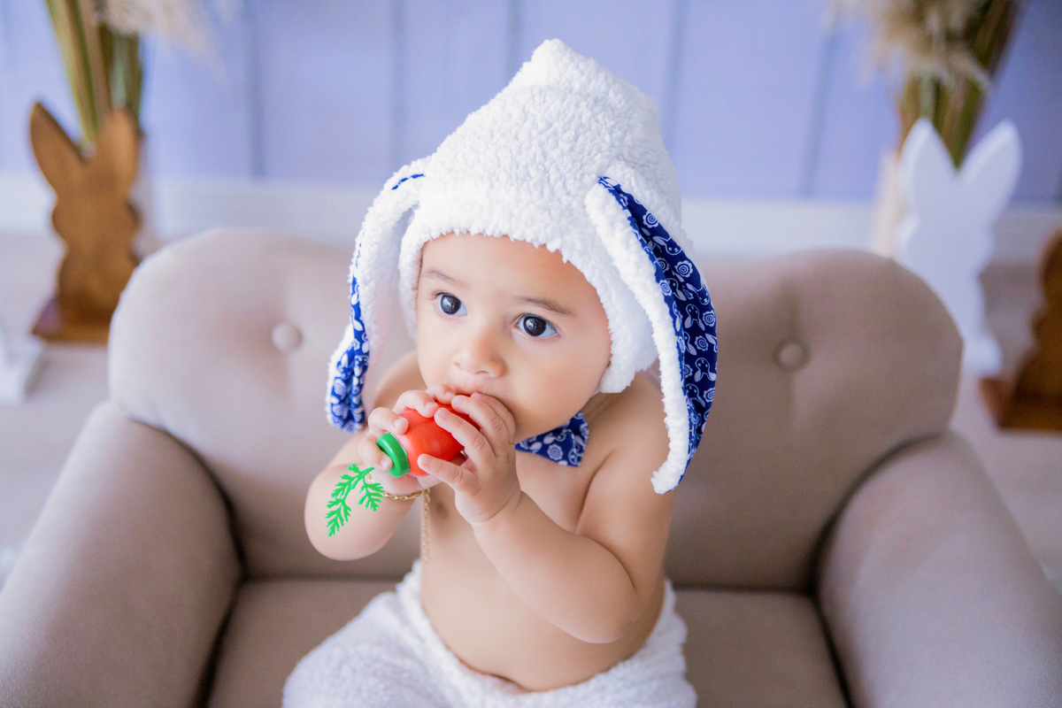 acompanhamento mensal de bebe caxias do sul figurino cenario tematico  personagem foto infantil serra gaucha fotografia familia mundo azul rosa ensaio fotografico crianca newborn baby menino menina smash the cake esmague o bolo banheira urso circo