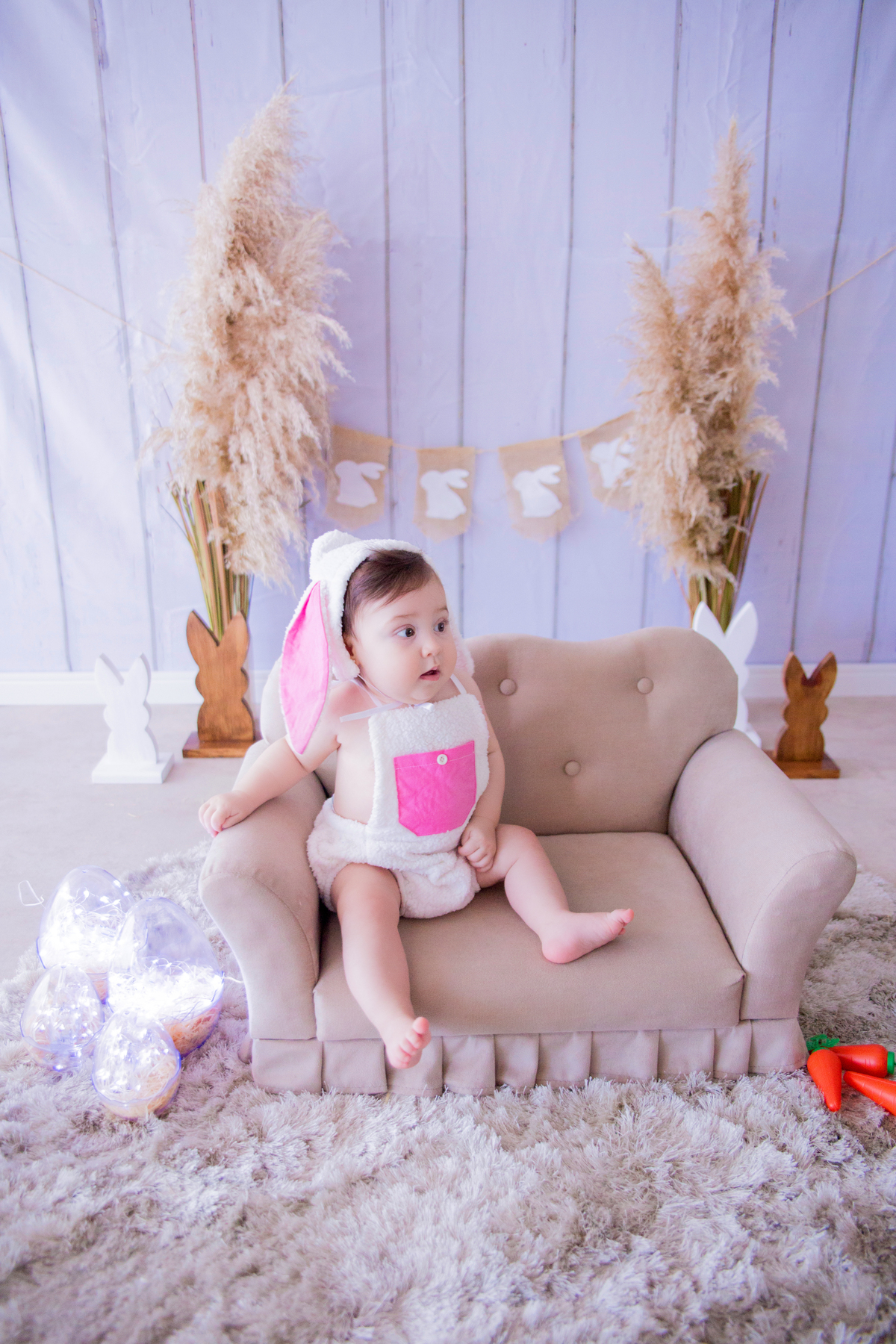 acompanhamento mensal de bebe caxias do sul figurino cenario tematico  personagem foto infantil serra gaucha fotografia familia mundo azul rosa ensaio fotografico crianca newborn baby menino menina smash the cake esmague o bolo banheira urso circo