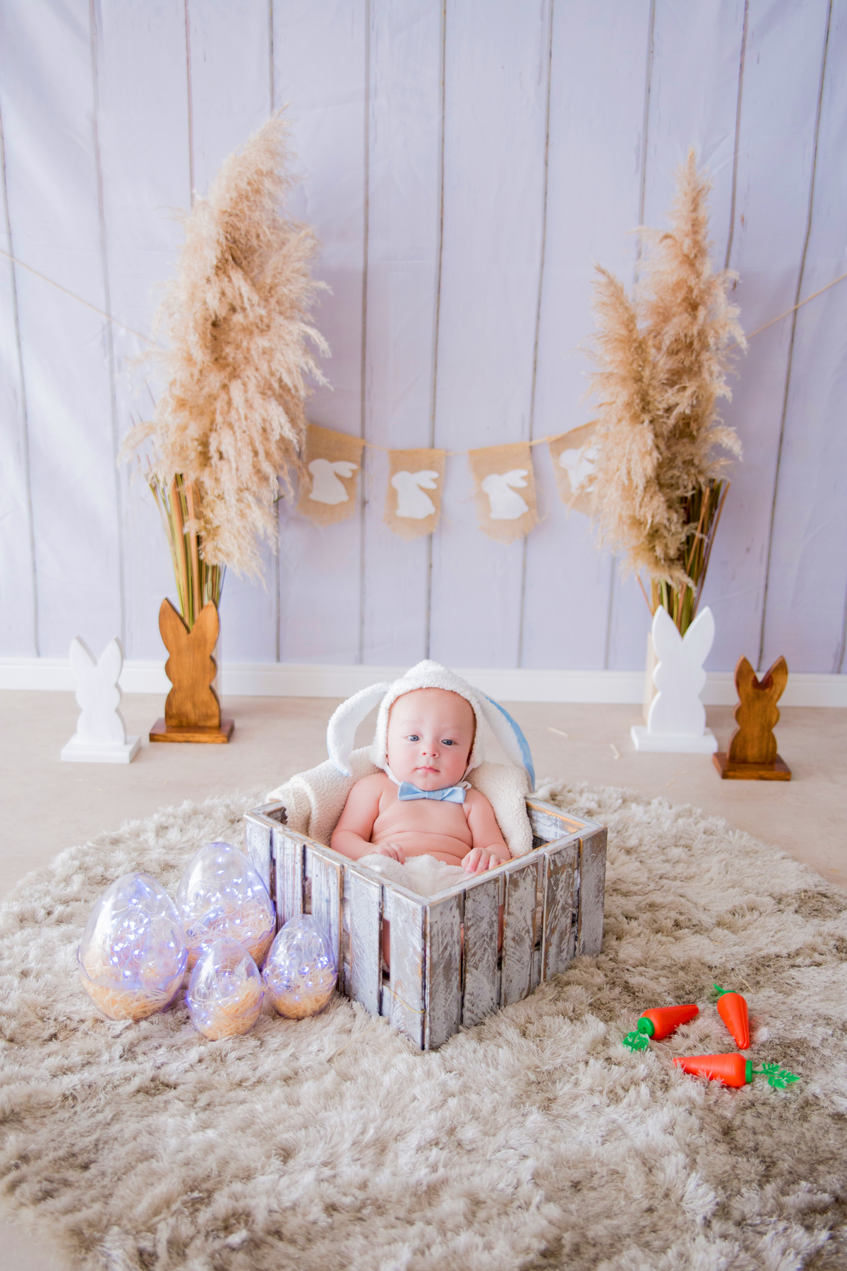 acompanhamento mensal de bebe caxias do sul figurino cenario tematico  personagem foto infantil serra gaucha fotografia familia mundo azul rosa ensaio fotografico crianca newborn baby menino menina smash the cake esmague o bolo banheira urso circo