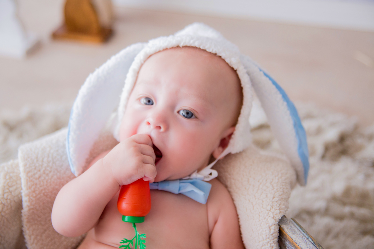 acompanhamento mensal de bebe caxias do sul figurino cenario tematico  personagem foto infantil serra gaucha fotografia familia mundo azul rosa ensaio fotografico crianca newborn baby menino menina smash the cake esmague o bolo banheira urso circo
