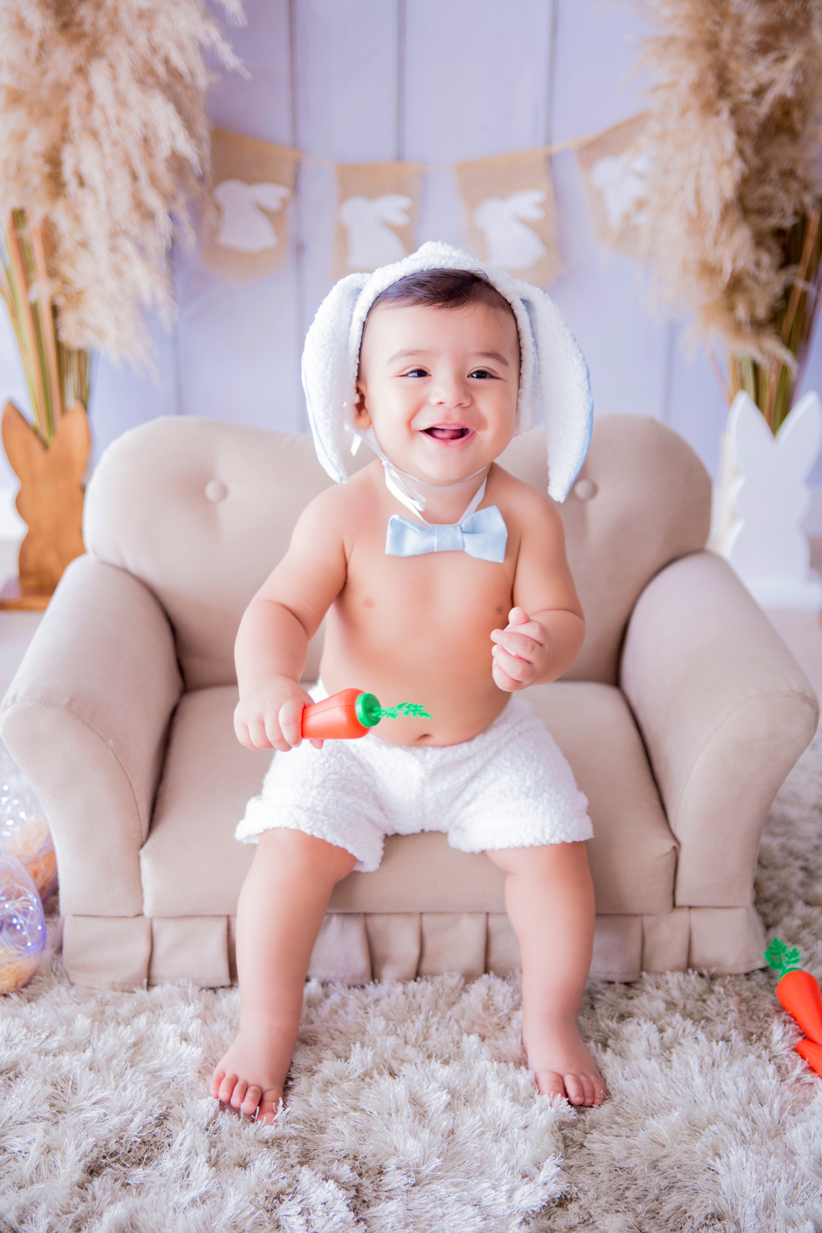 acompanhamento mensal de bebe caxias do sul figurino cenario tematico  personagem foto infantil serra gaucha fotografia familia mundo azul rosa ensaio fotografico crianca newborn baby menino menina smash the cake esmague o bolo banheira urso circo