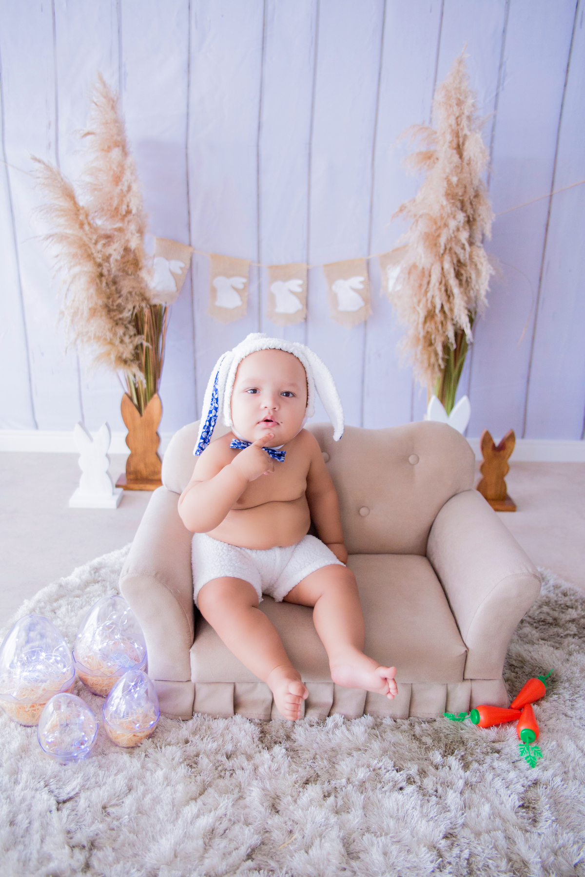 acompanhamento mensal de bebe caxias do sul figurino cenario tematico  personagem foto infantil serra gaucha fotografia familia mundo azul rosa ensaio fotografico crianca newborn baby menino menina smash the cake esmague o bolo banheira urso circo
