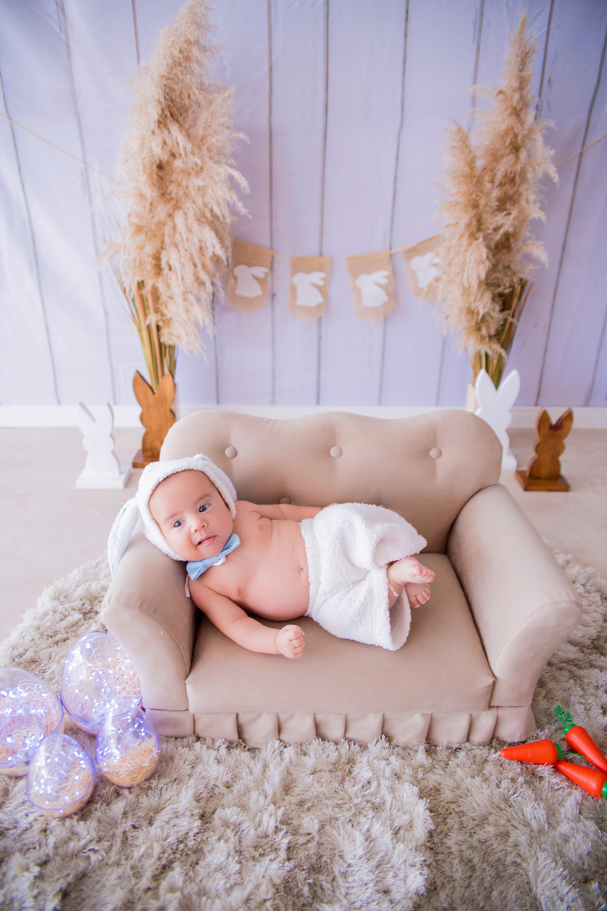 acompanhamento mensal de bebe caxias do sul figurino cenario tematico  personagem foto infantil serra gaucha fotografia familia mundo azul rosa ensaio fotografico crianca newborn baby menino menina smash the cake esmague o bolo banheira urso circo