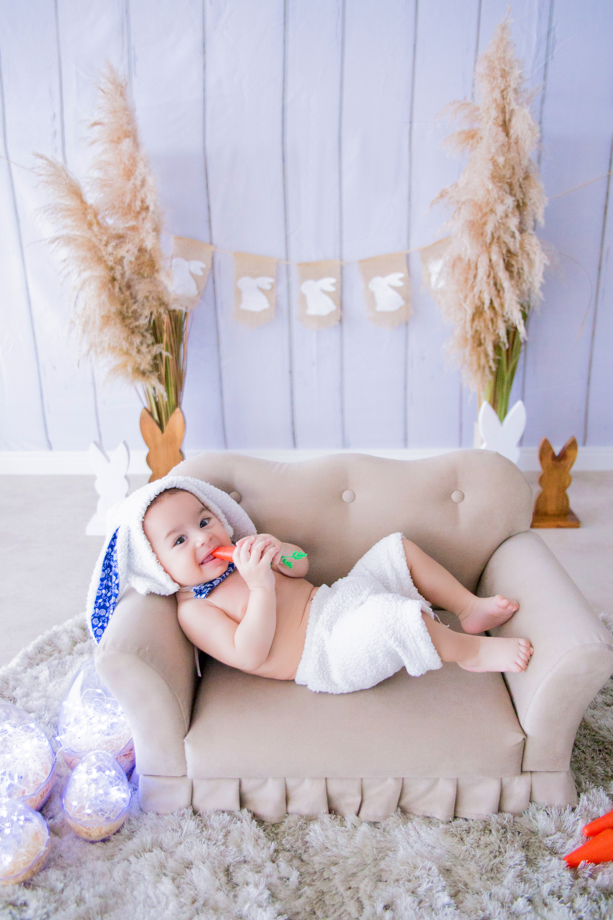 acompanhamento mensal de bebe caxias do sul figurino cenario tematico  personagem foto infantil serra gaucha fotografia familia mundo azul rosa ensaio fotografico crianca newborn baby menino menina smash the cake esmague o bolo banheira urso circo