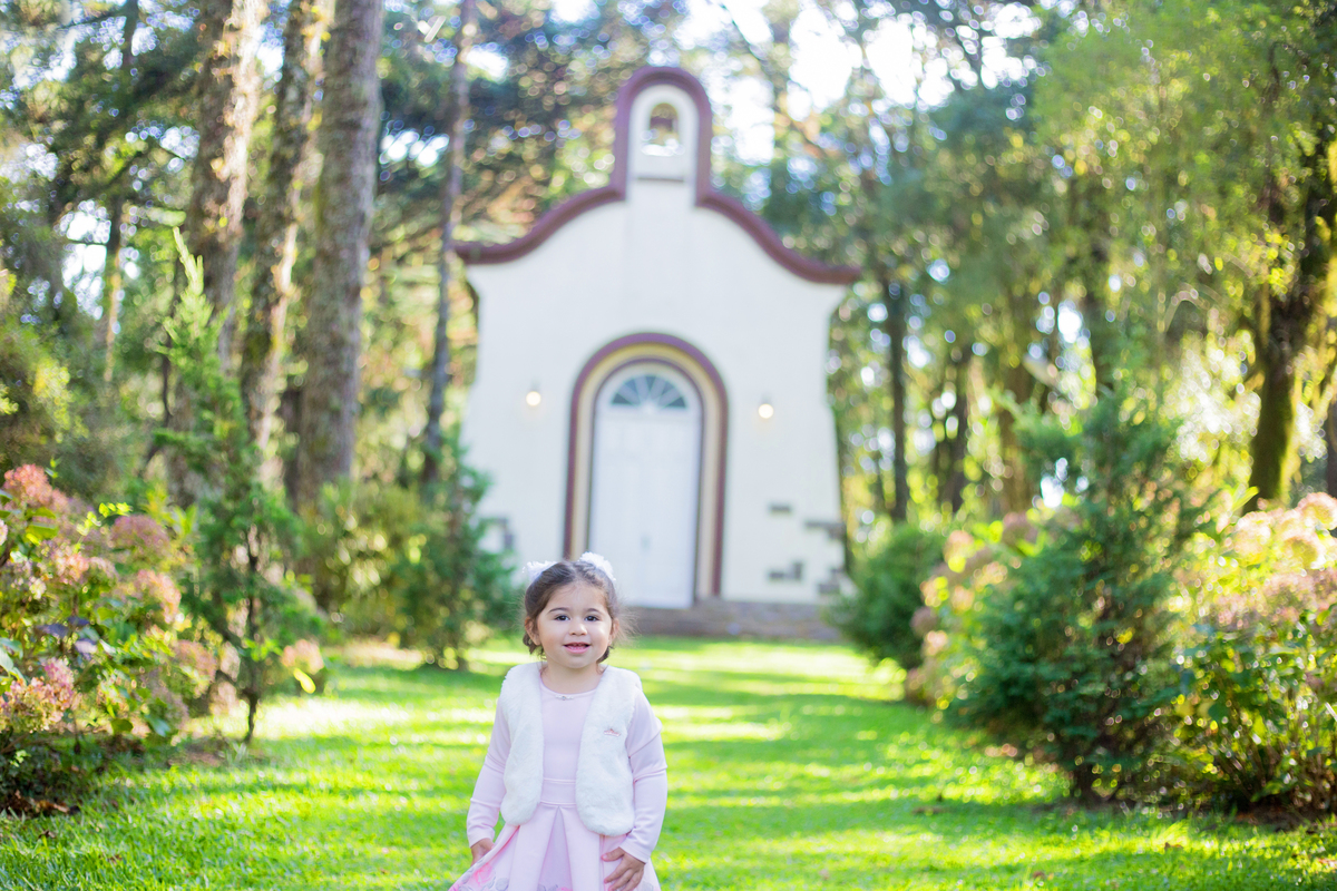 acompanhamento mensal de bebe caxias do sul figurino cenario tematico  personagem foto infantil serra gaucha fotografia familia mundo azul rosa ensaio fotografico crianca newborn baby menino menina smash the cake esmague o bolo banheira urso circo