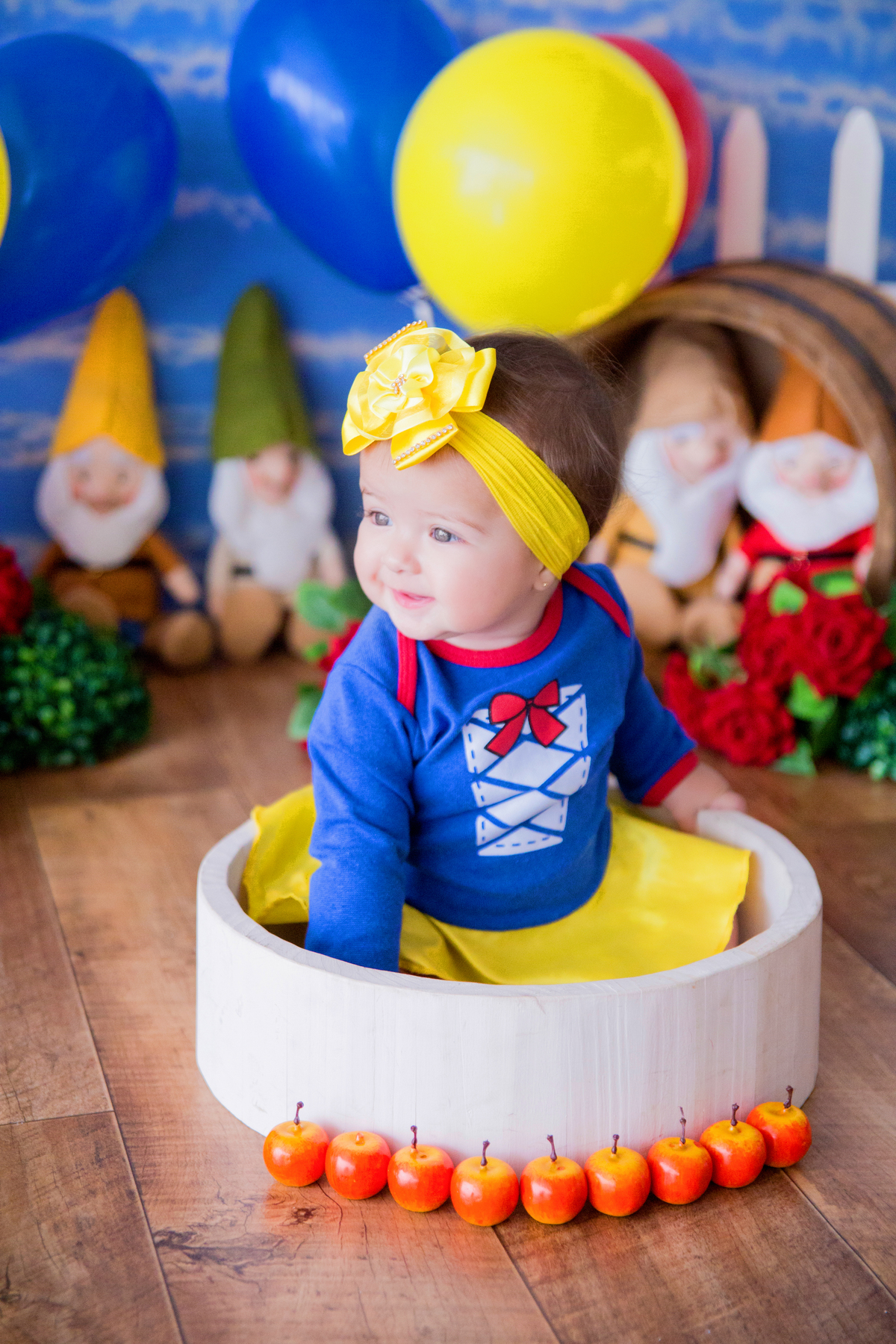 acompanhamento mensal de bebe caxias do sul figurino cenario tematico  personagem foto infantil serra gaucha fotografia familia mundo azul rosa ensaio fotografico crianca newborn baby menino menina smash the cake esmague o bolo banheira urso circo