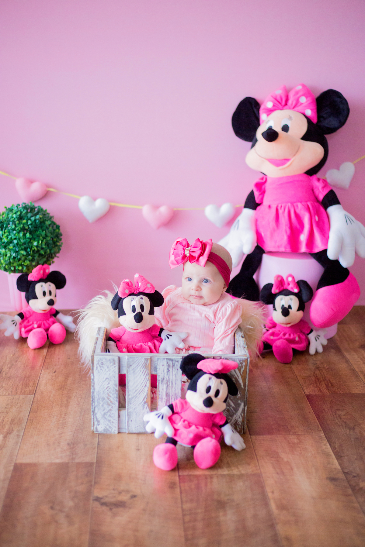 acompanhamento mensal de bebe caxias do sul figurino cenario tematico  personagem foto infantil serra gaucha fotografia familia mundo azul rosa ensaio fotografico crianca newborn baby menino menina smash the cake esmague o bolo banheira urso circo