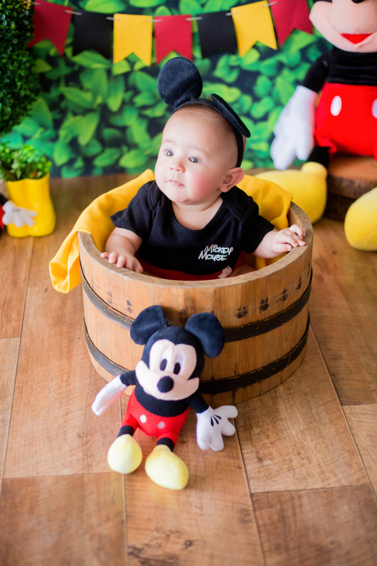 acompanhamento mensal de bebe caxias do sul figurino cenario tematico  personagem foto infantil serra gaucha fotografia familia mundo azul rosa ensaio fotografico crianca newborn baby menino menina smash the cake esmague o bolo banheira urso circo