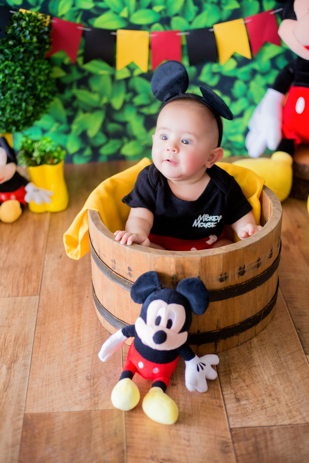 acompanhamento mensal de bebe caxias do sul figurino cenario tematico  personagem foto infantil serra gaucha fotografia familia mundo azul rosa ensaio fotografico crianca newborn baby menino menina smash the cake esmague o bolo banheira urso circo
