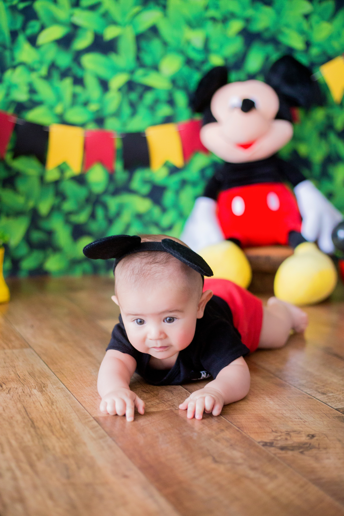 acompanhamento mensal de bebe caxias do sul figurino cenario tematico  personagem foto infantil serra gaucha fotografia familia mundo azul rosa ensaio fotografico crianca newborn baby menino menina smash the cake esmague o bolo banheira urso circo