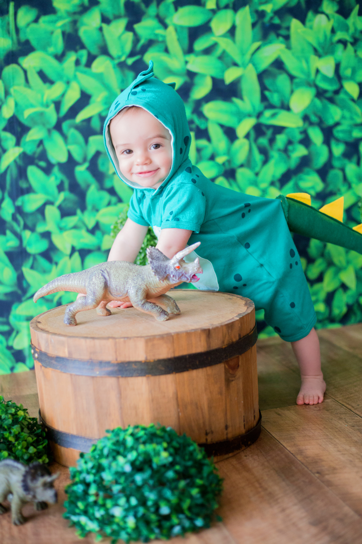 acompanhamento mensal de bebe caxias do sul figurino cenario tematico  personagem foto infantil serra gaucha fotografia familia mundo azul rosa ensaio fotografico crianca newborn baby menino menina smash the cake esmague o bolo banheira urso circo