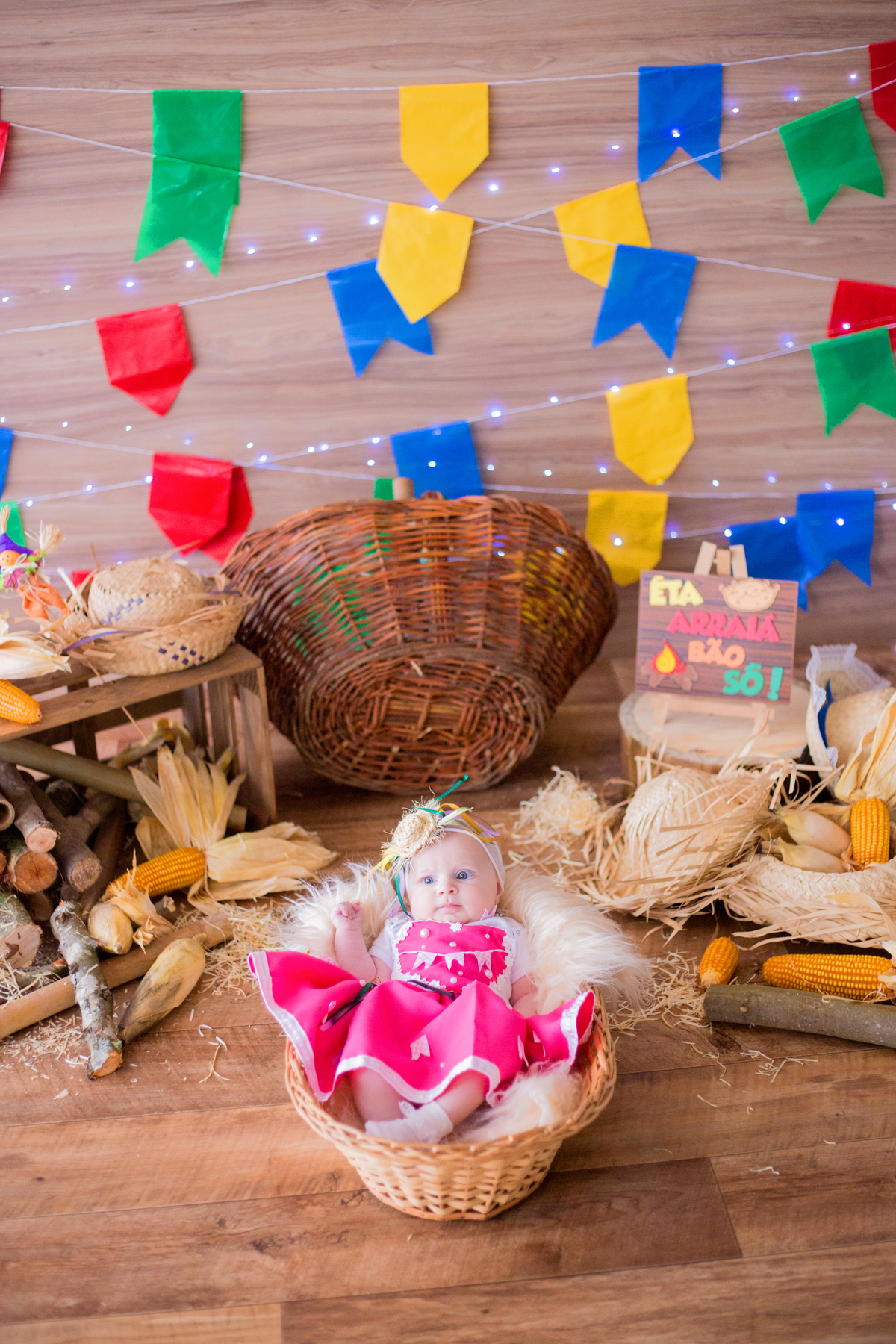 acompanhamento mensal de bebe caxias do sul figurino cenario tematico  personagem foto infantil serra gaucha fotografia familia mundo azul rosa ensaio fotografico crianca newborn baby menino menina smash the cake esmague o bolo banheira urso circo