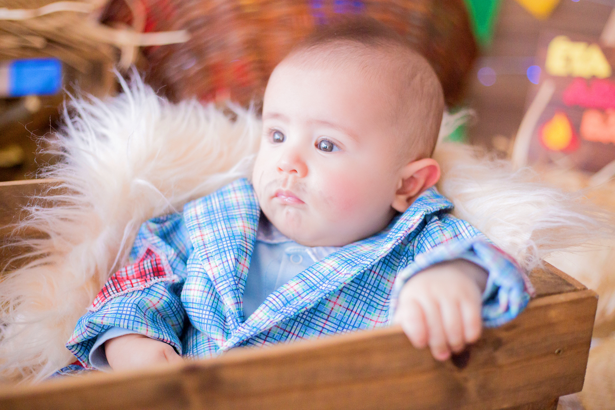 acompanhamento mensal de bebe caxias do sul figurino cenario tematico  personagem foto infantil serra gaucha fotografia familia mundo azul rosa ensaio fotografico crianca newborn baby menino menina smash the cake esmague o bolo banheira urso circo