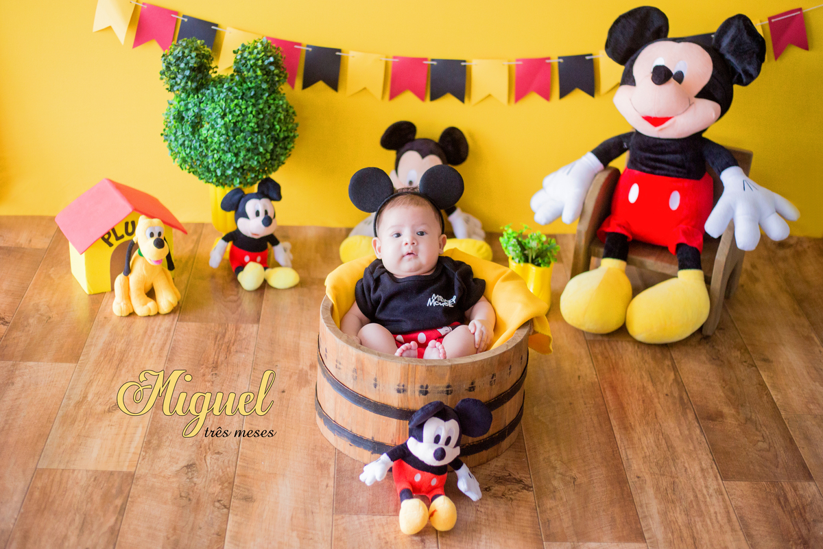 acompanhamento mensal de bebe caxias do sul figurino cenario tematico  personagem foto infantil serra gaucha fotografia familia mundo azul rosa ensaio fotografico crianca newborn baby menino menina smash the cake esmague o bolo banheira urso circo