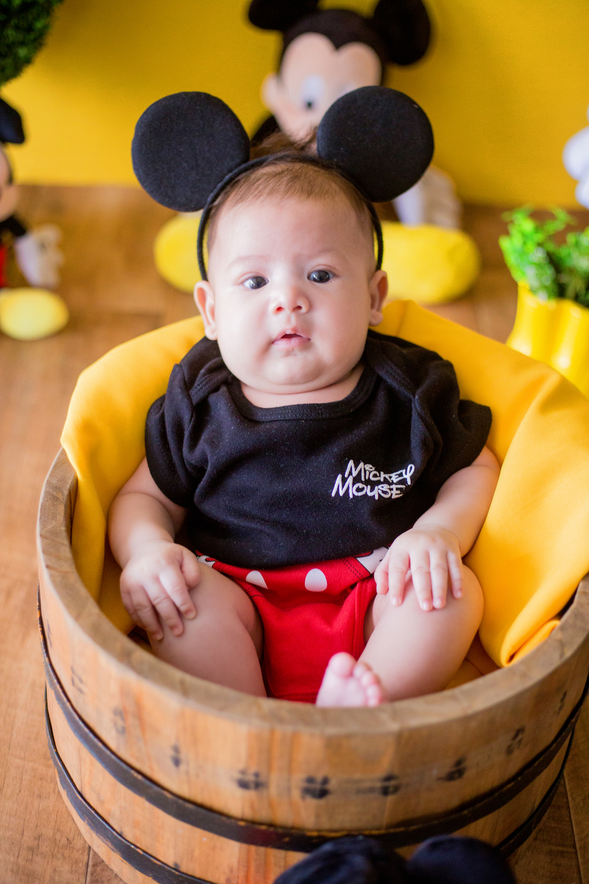 acompanhamento mensal de bebe caxias do sul figurino cenario tematico  personagem foto infantil serra gaucha fotografia familia mundo azul rosa ensaio fotografico crianca newborn baby menino menina smash the cake esmague o bolo banheira urso circo