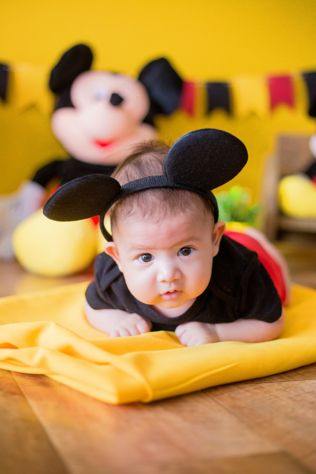 acompanhamento mensal de bebe caxias do sul figurino cenario tematico  personagem foto infantil serra gaucha fotografia familia mundo azul rosa ensaio fotografico crianca newborn baby menino menina smash the cake esmague o bolo banheira urso circo
